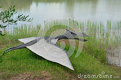 The one of reconstructions of Mesozoic Pterodactyloidea Editorial Stock Photo