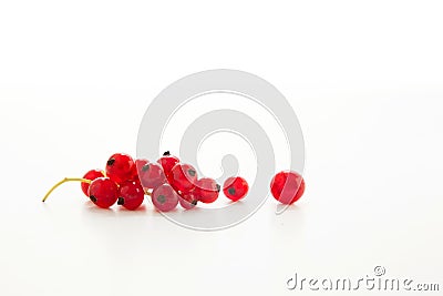 One red brunch of currant on white background Stock Photo