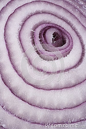 One red onion,half and rings on white background Stock Photo