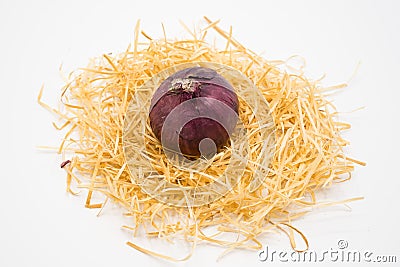 Onion on the nest with white background Stock Photo