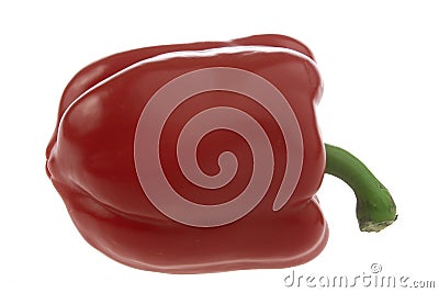 One red pepper Stock Photo