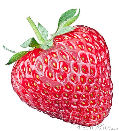 One rich strawberry fruit. Stock Photo