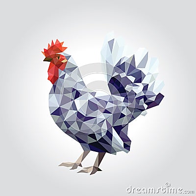 One rooster with colorful feather low polygon standing isolated on white background Vector Illustration