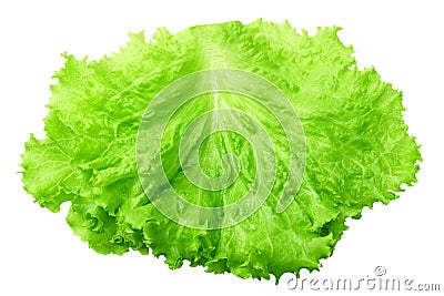 one salad leaf isolated on a white background Stock Photo