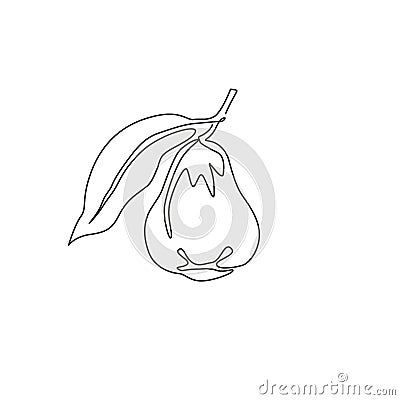 One single line drawing of whole healthy organic bell fruit for orchard logo identity. Fresh rose apple fruitage concept for fruit Vector Illustration