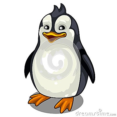 One smiling penguin on white background. Vector Vector Illustration
