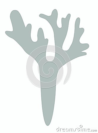 One sprig of Moss, lichen or reindeer moss Iceland moss logo, or icon Vector Illustration
