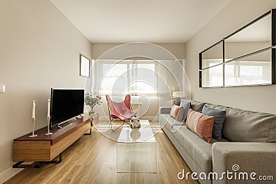 One-story living room furnished with gray three-seater sofa with mirror set, wooden sideboard with tv and window with views Stock Photo