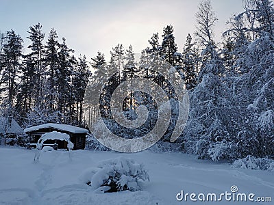 A dark one-story wooden house - a round log bathhouse in the snow among snow-covered trees against the backdrop of a winter sunset Stock Photo