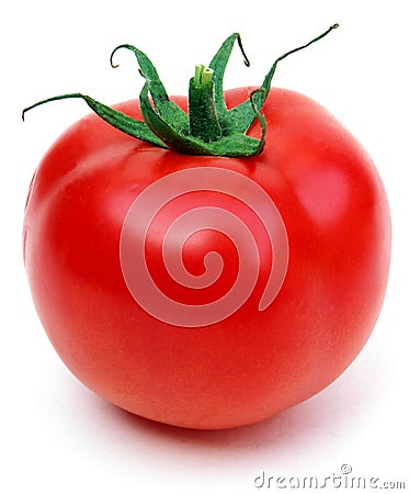 One Tomato Stock Photo