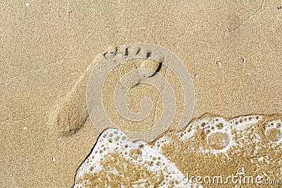 One trace on the brown sand Stock Photo