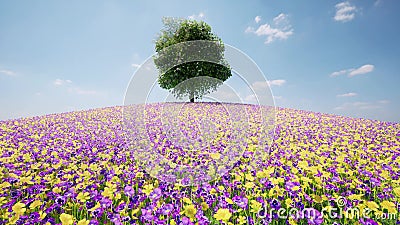 One tree grows on the hill flowers bloom 3d Stock Photo