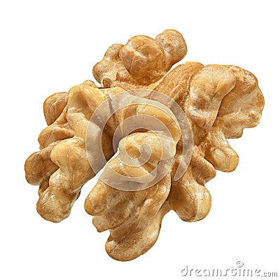 One Walnut isolated closeup without shell as package design element collection on white background. Nut macro. Stock Photo