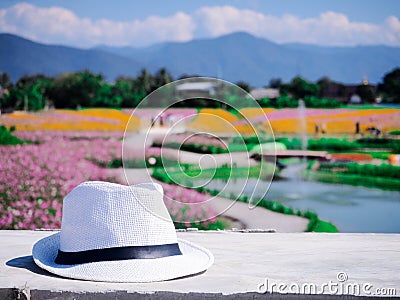 One white hat with Colorful Cosmos field blue background Stock Photo