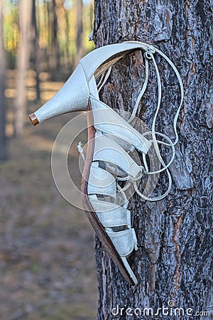 one white womens leather high heel sandal hanging on a gray pine tree Stock Photo