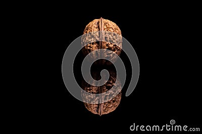 One whole isolated walnut on black background Stock Photo