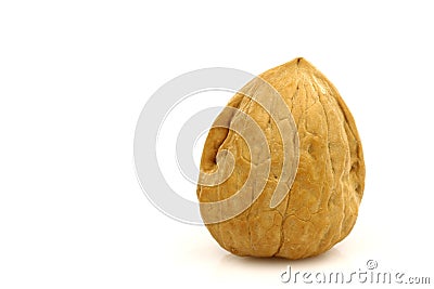 One whole walnut Stock Photo