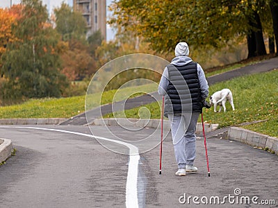 One woman goes Nordic walking with a white dog. Sports walk on a cloudy autumn morning in a city park Editorial Stock Photo