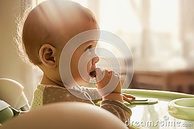 One-year-old child eats cracker, chews first teeth, background for banner about baby food Stock Photo