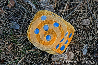 One yellow game cube made of fabric lies on gray dry grass Stock Photo