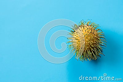 One yellow rambutan on blue background. Stock Photo