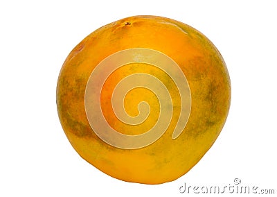 One yellow round juicy papaya Stock Photo