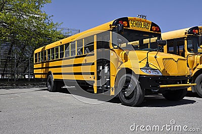 One yellow school bus Stock Photo