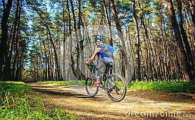 One young woman - cyclist in a helmet riding a mountain bike outside the city, on the road in a pine forest Stock Photo