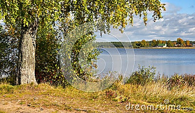 Onely birch, on the shores of an autumn lake and a path leaving under the canopy of trees.onely birch, on the shores of autumn Stock Photo