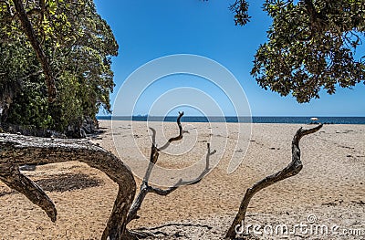 Onemana Beach, Coromandel Pensinsula, New Zealand Stock Photo