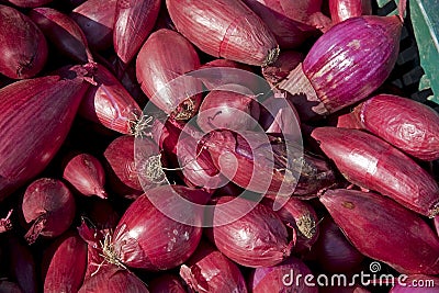 Red onion background in a box Stock Photo