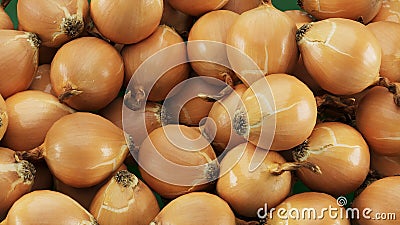 Golden onions on a wooden background.View from abobe. Stock Photo