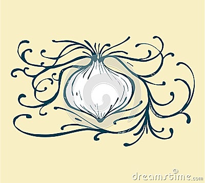 Onion b Vector Illustration