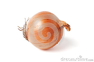 Onion bulb isolated on white Stock Photo