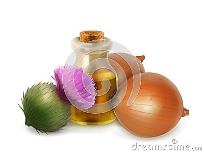 Onion and burdock folk medicine Vector Illustration