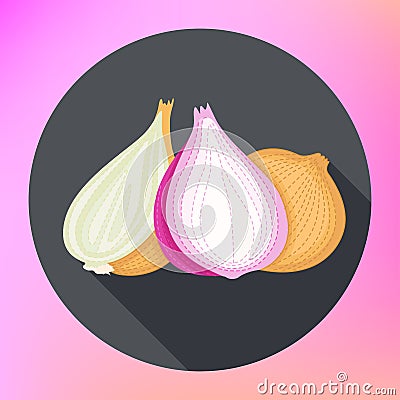 Onion. Flat design. Isolated vegetables. Vector Illustration