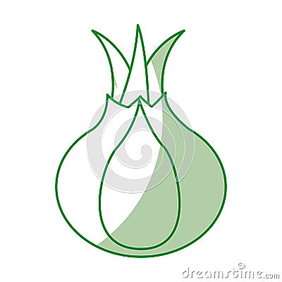 Onion fresh vegetable icon Vector Illustration