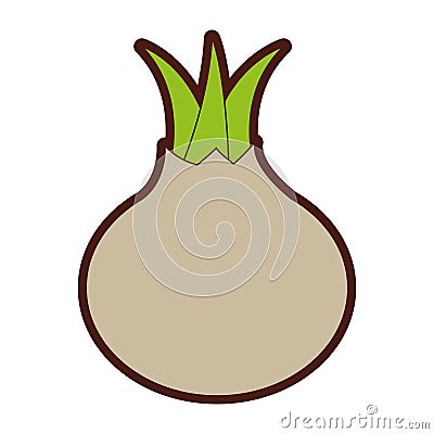 Onion fresh vegetable icon Vector Illustration