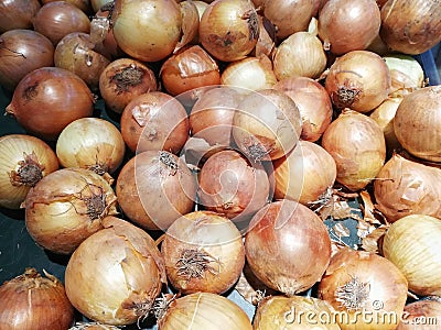 Onion full frame pattern background. Stock Photo