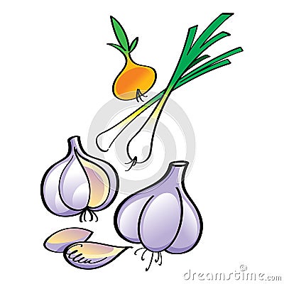 Onion and Garlic Vector Illustration