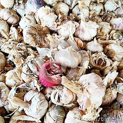 Onion in garlic grup Stock Photo
