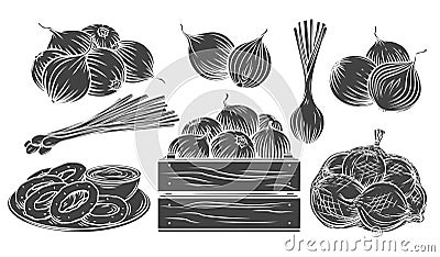 Onion glyph monochrome icon Vector Illustration