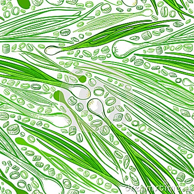 Onion green leaves Vector seamless pattern Harvest Vector Illustration