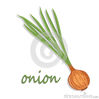 Onion. Green onion in the shape of a web icon vector color, new flat style. Vector Illustration