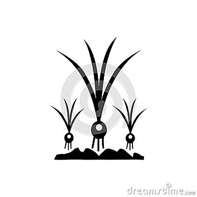 Onion Growing in Soil icon Vector Illustration