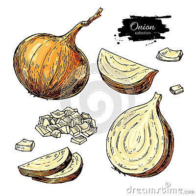 Onion hand drawn vector set. Full, half and cutout slice. Isolated Vegetable artistic style object. Vector Illustration