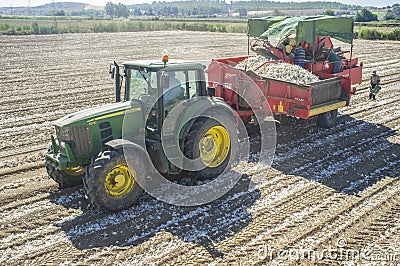 Onion harvester at work Editorial Stock Photo