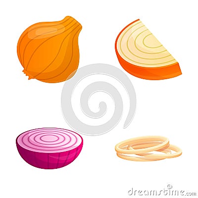 Onion icons set cartoon vector. Whole and cut onion Vector Illustration