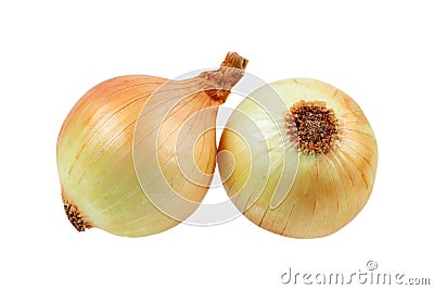 onion isolated on white Stock Photo