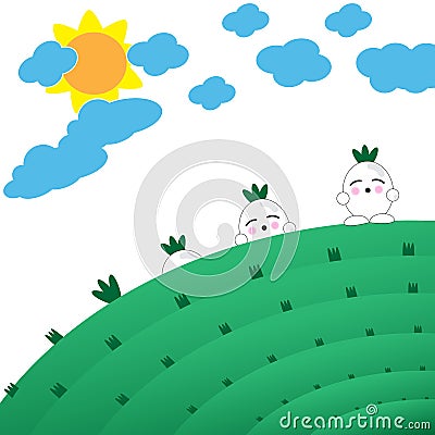 Onion life cycle cartoon with clear sky Stock Photo